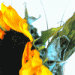 ::smi::n edellinen - GUGGA