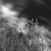 Edellinen - Puska