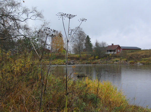 K&Atilde;&curren;rs&Atilde;&curren;m&Atilde;&curren;ki 1