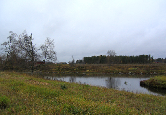 K&Atilde;&curren;rs&Atilde;&curren;m&Atilde;&curren;ki 2