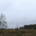 Edellinen - K&auml;rs&auml;m&auml;ki 2