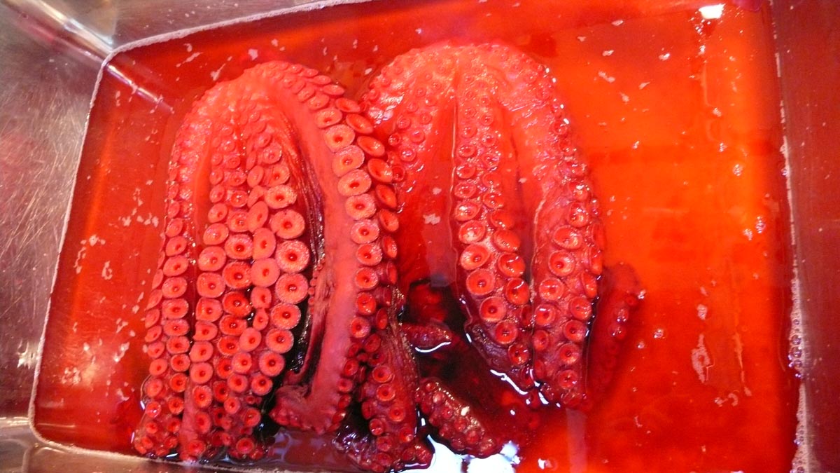 Frutti di mare